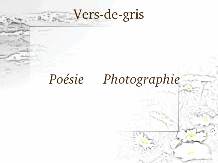 www.vers-de-gris.fr