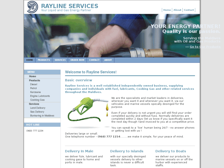 www.raylineservices.com