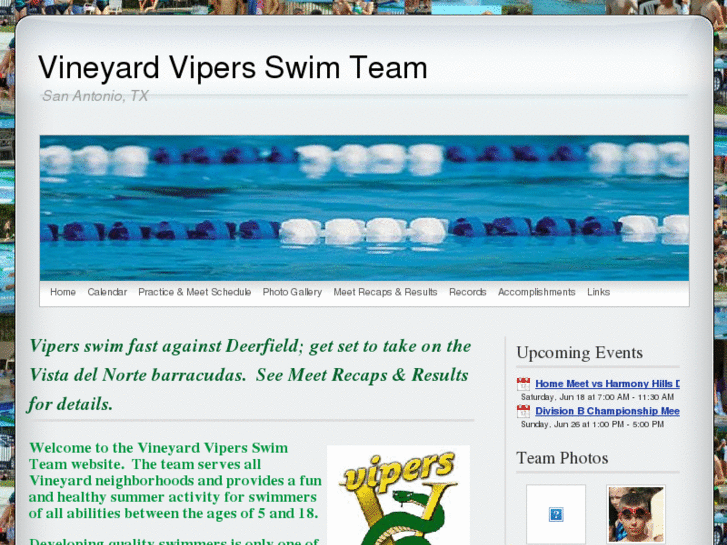 www.vineyardvipers.com