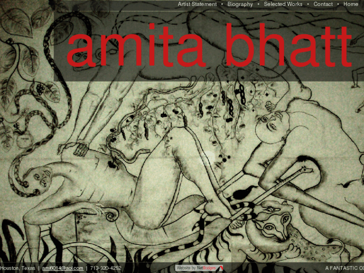 www.amitabhatt.com