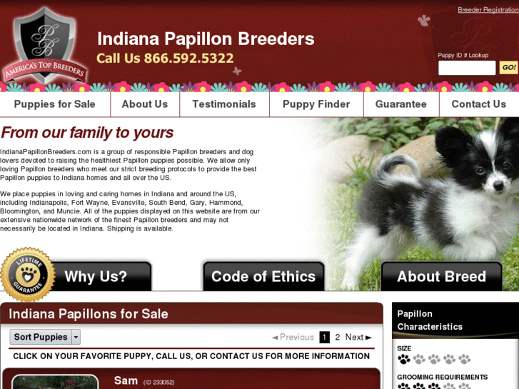 www.indianapapillonbreeders.com