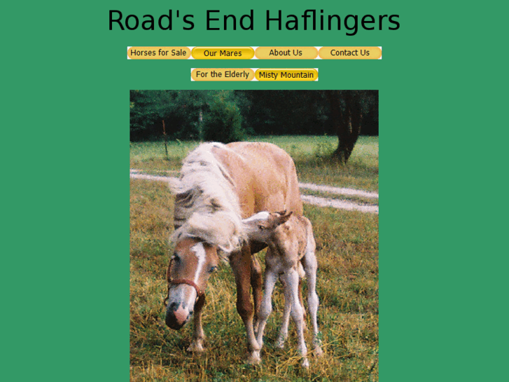 www.roadsendhaflingers.com