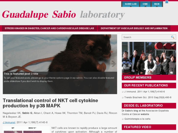 www.sabiolab.com