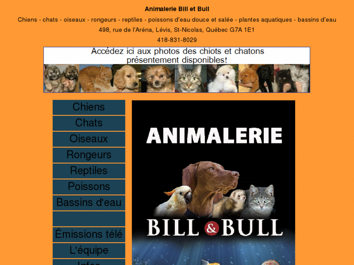 www.billetbull.com