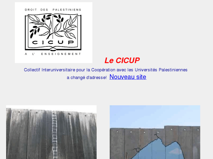 www.cicup.org