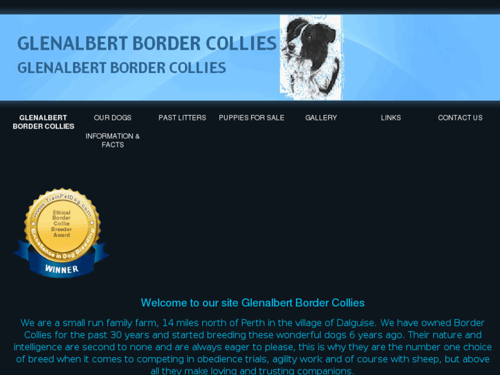 www.glenalbertcollies.com