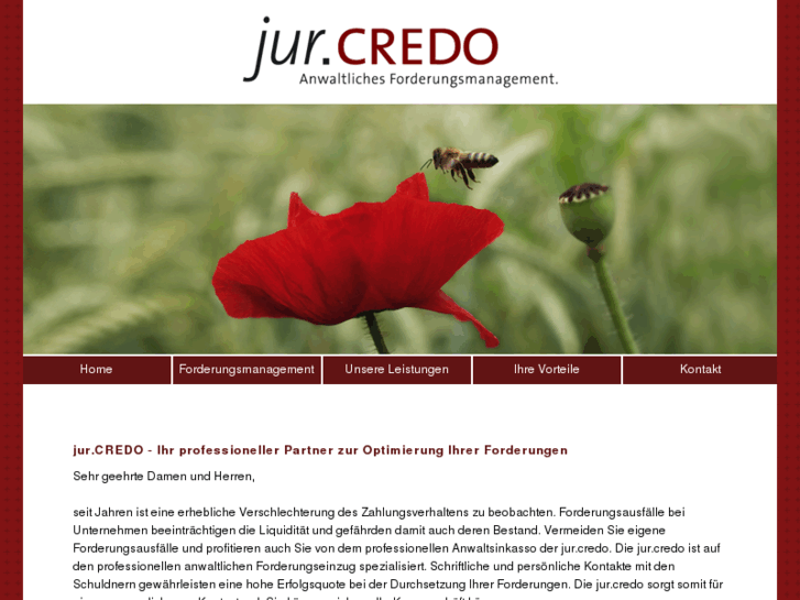 www.jurcredo.com