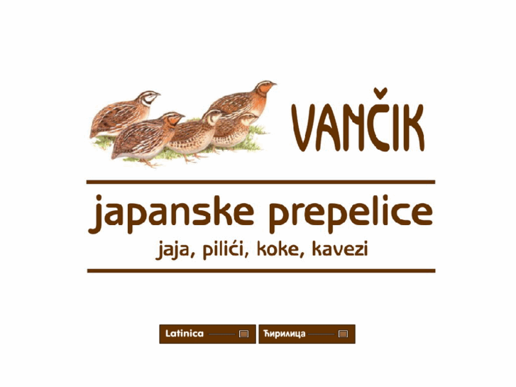 www.vancik.net