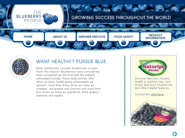 www.blueberries.com