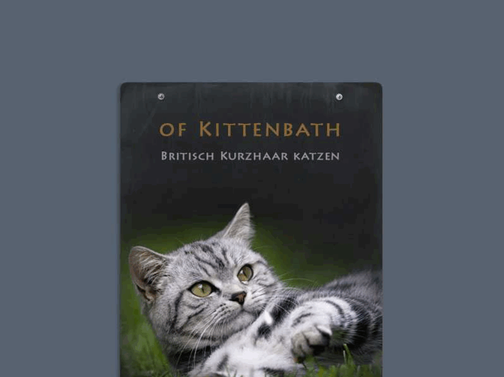 www.kittenbath.de