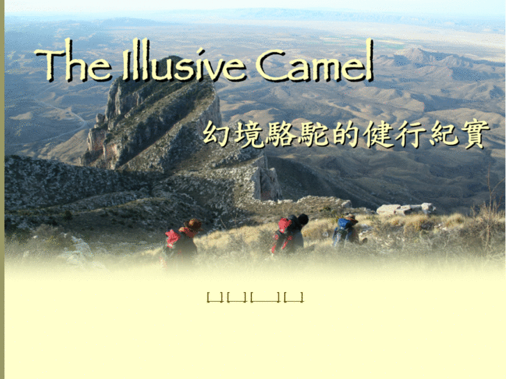 www.theillusivecamel.com