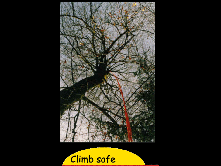 www.treeclimbing.info