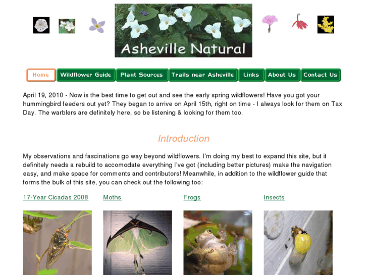 www.ashevillenatural.com