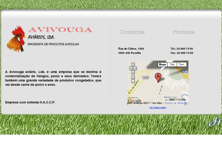 www.avivouga.com