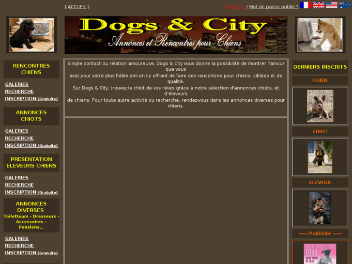 www.dogsandcity.com