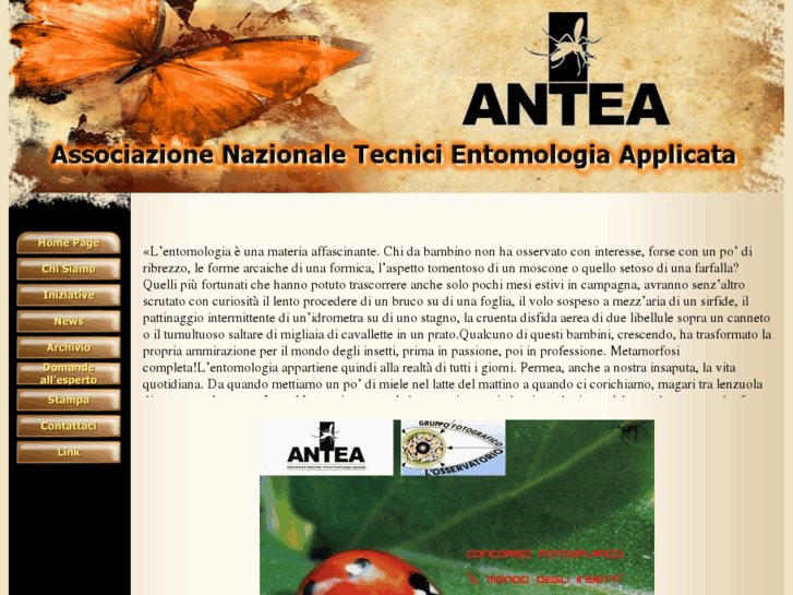 www.entomologia-antea.it