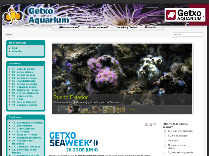 www.getxo-aquarium.com