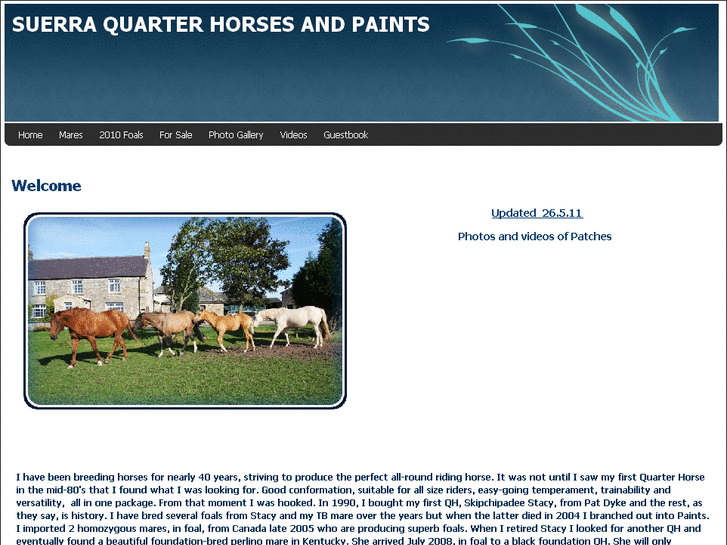 www.suerraquarterhorses.com