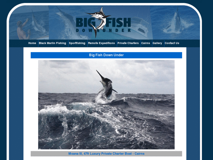 www.bigfishdownunder.com