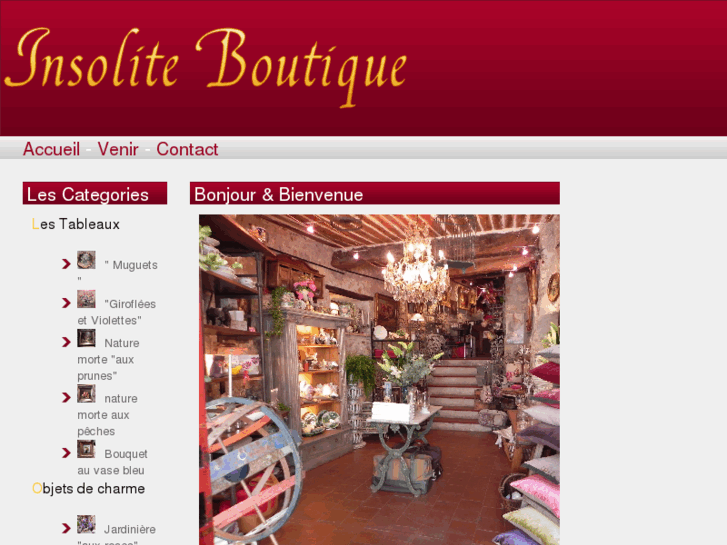 www.insolite-boutique.com
