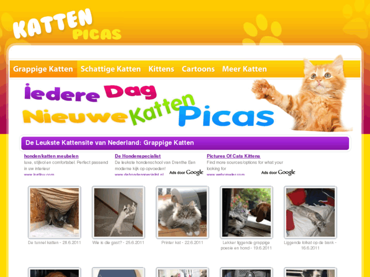 www.katten-picas.nl