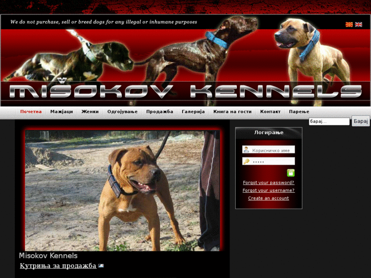 www.misokovkennels.com