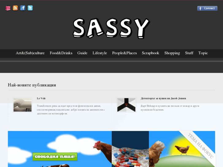 www.ohsassy.com