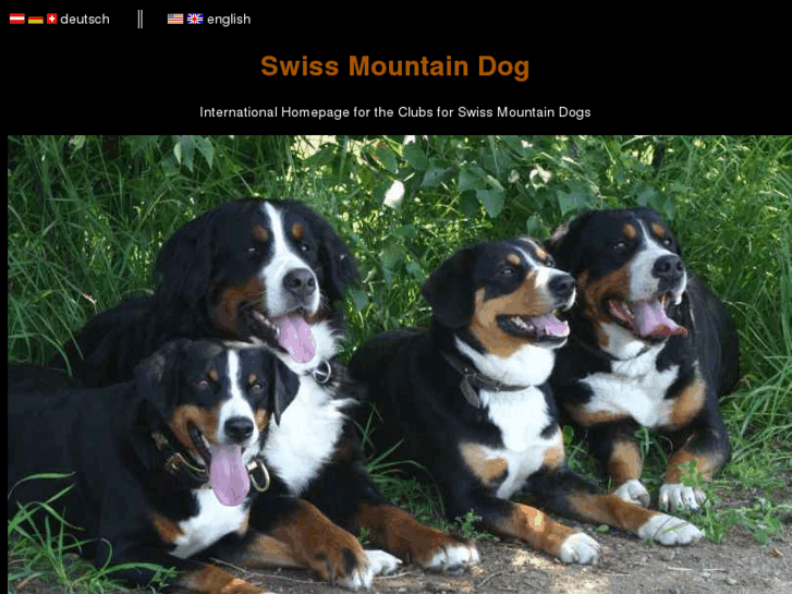 www.swiss-mountain-dog.org