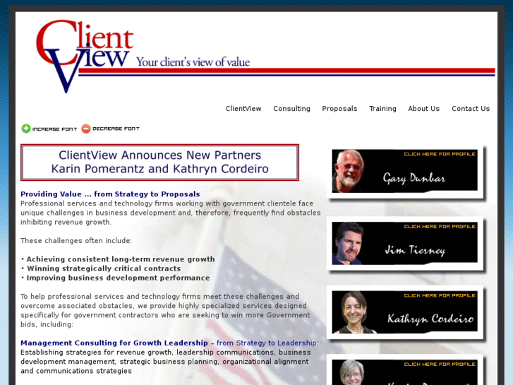 www.clientviewconsulting.com