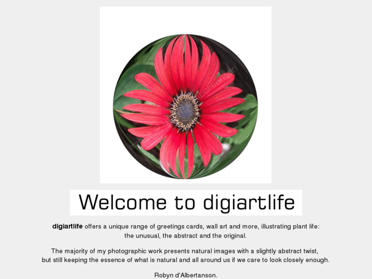 www.digiartlife.com