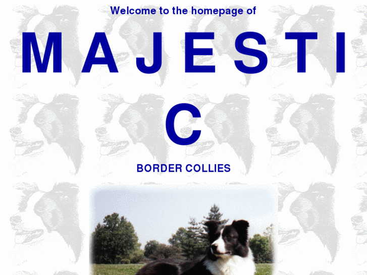 www.majesticbordercollies.com