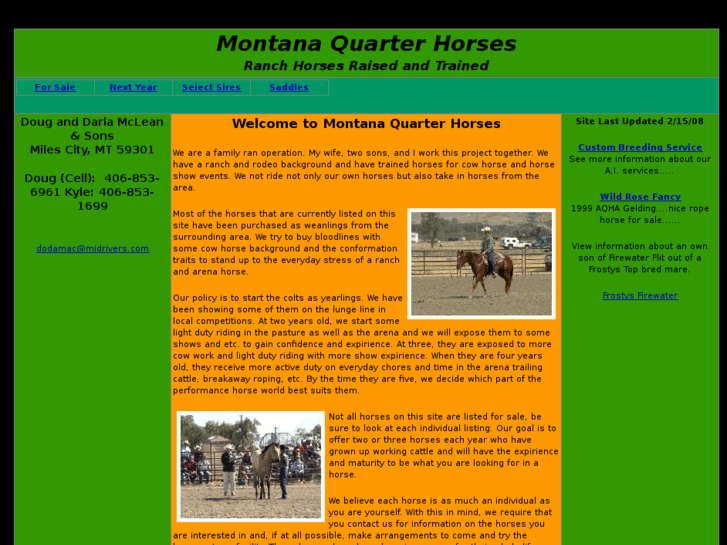 www.montanaquarterhorses.com