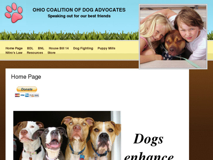 www.ohiocoalitionofdogadvocates.com