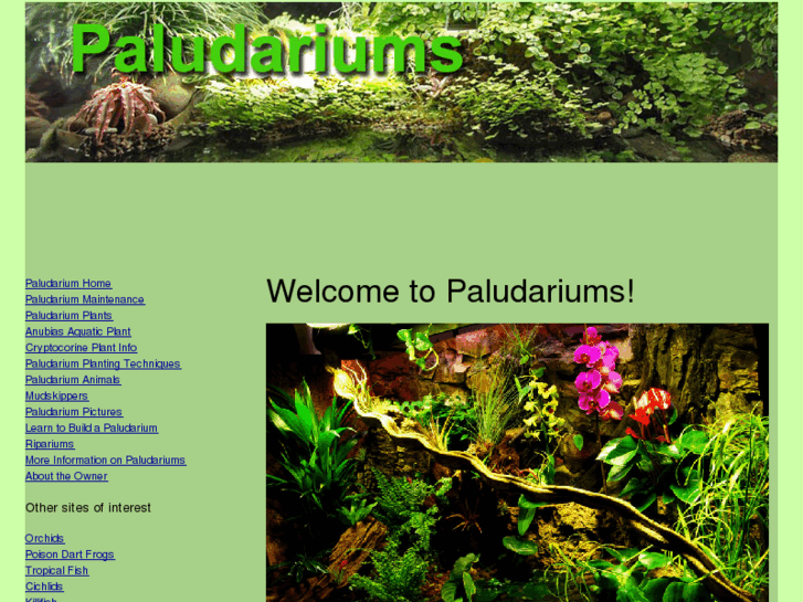 www.paludariums.net