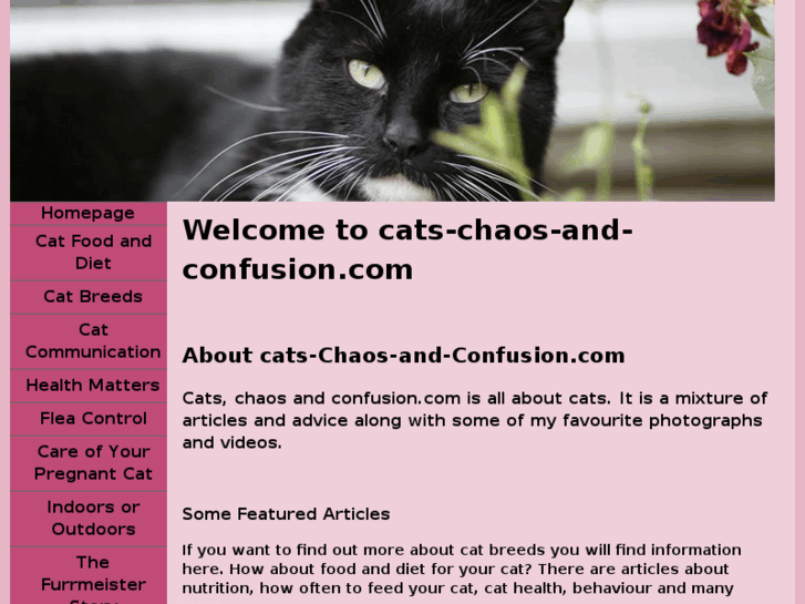 www.cats-chaos-and-confusion.com