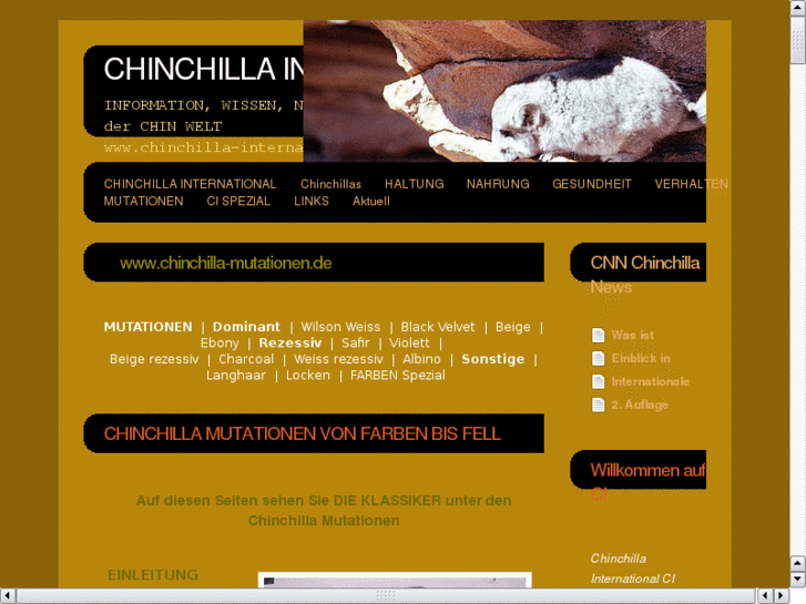 www.chinchilla-mutationen.de