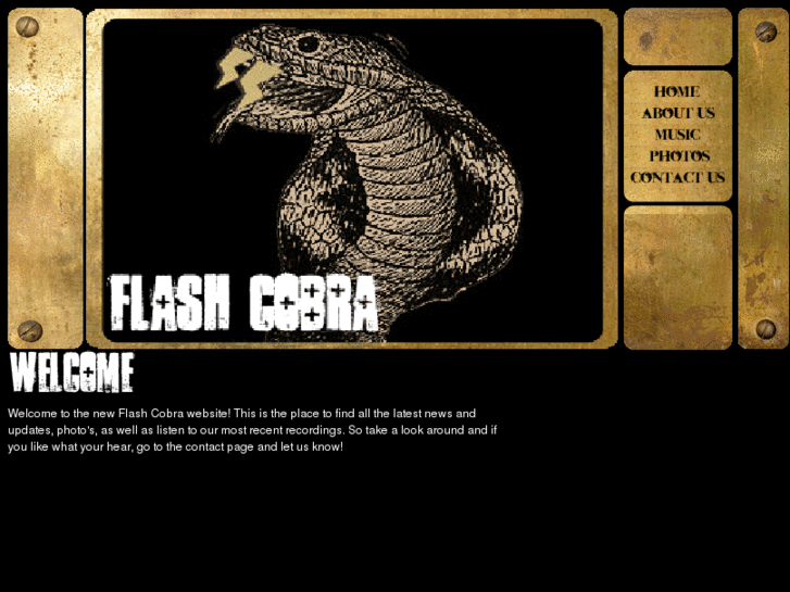 www.flashcobra.net