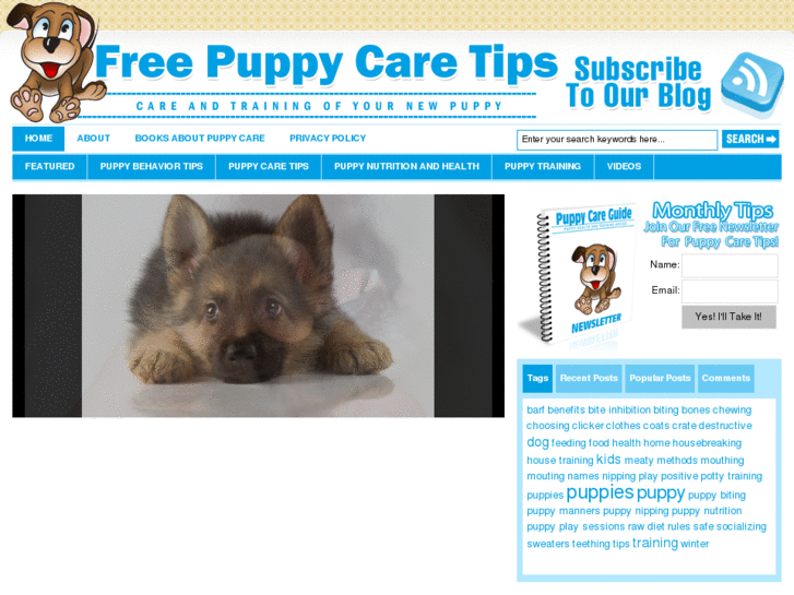 www.freepuppycaretips.com