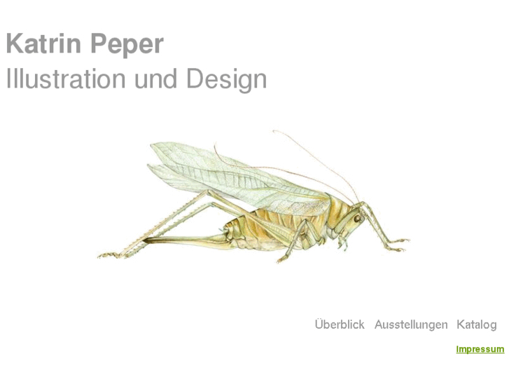 www.katrin-peper.com