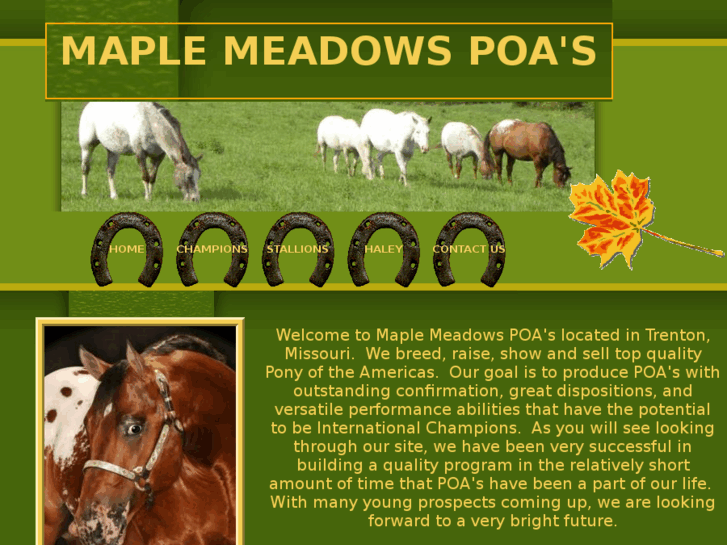 www.maplemeadowspoa.com