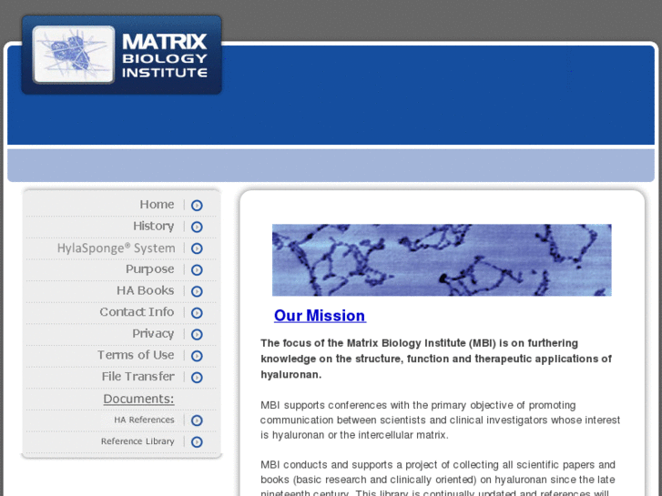 www.matrixbiologyinstitute.org