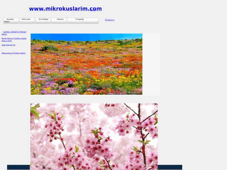 www.mikrokuslarim.com