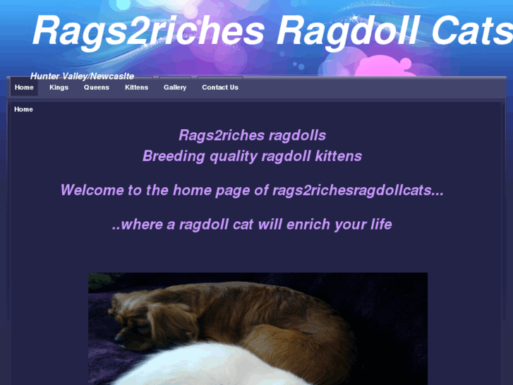 www.rags2richesragdollcats.com