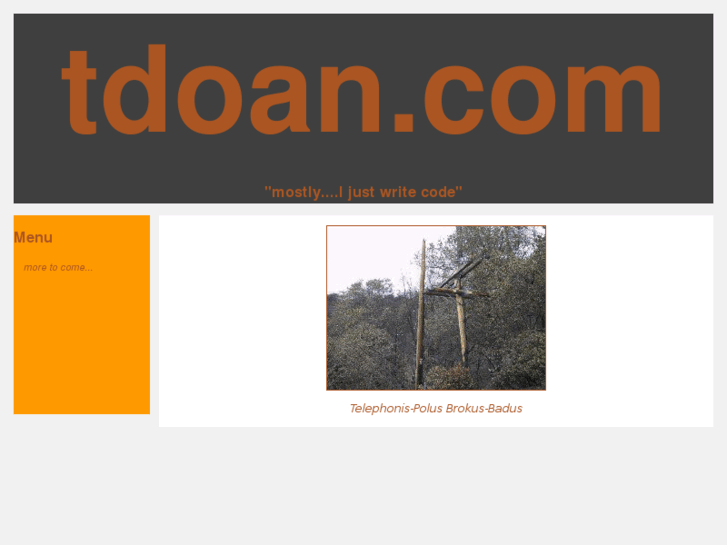 www.tdoan.com