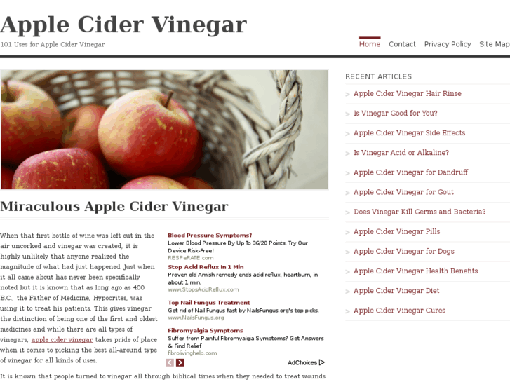 www.applecidervinegar101.com