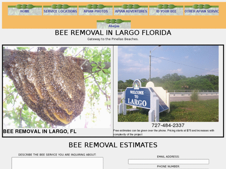 www.beeremovalinlargo.com