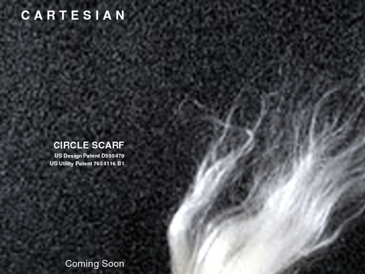 www.cartesiancirclescarf.com