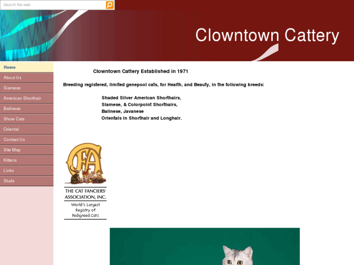 www.clowntowncattery.com