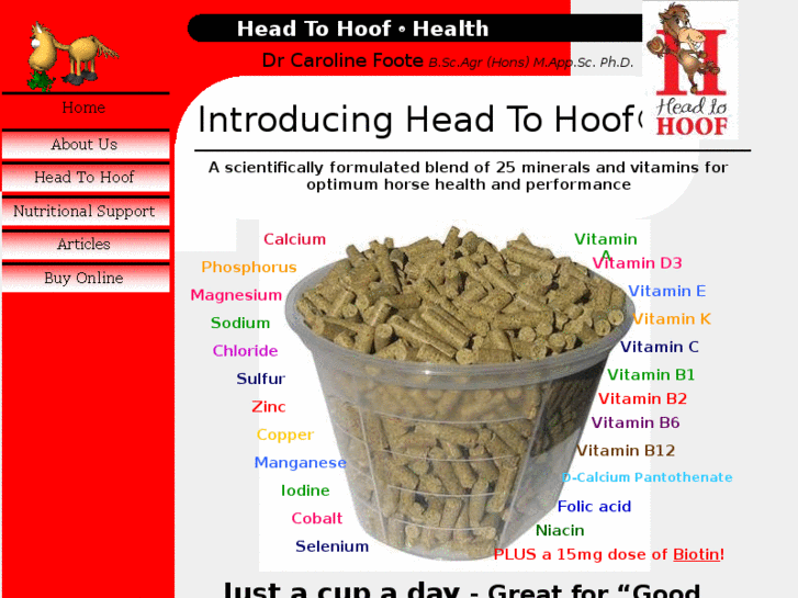 www.headtohoofhealth.com