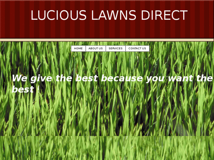 www.luciouslawnsdirect.com